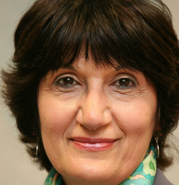 Professor Salwa Alsam